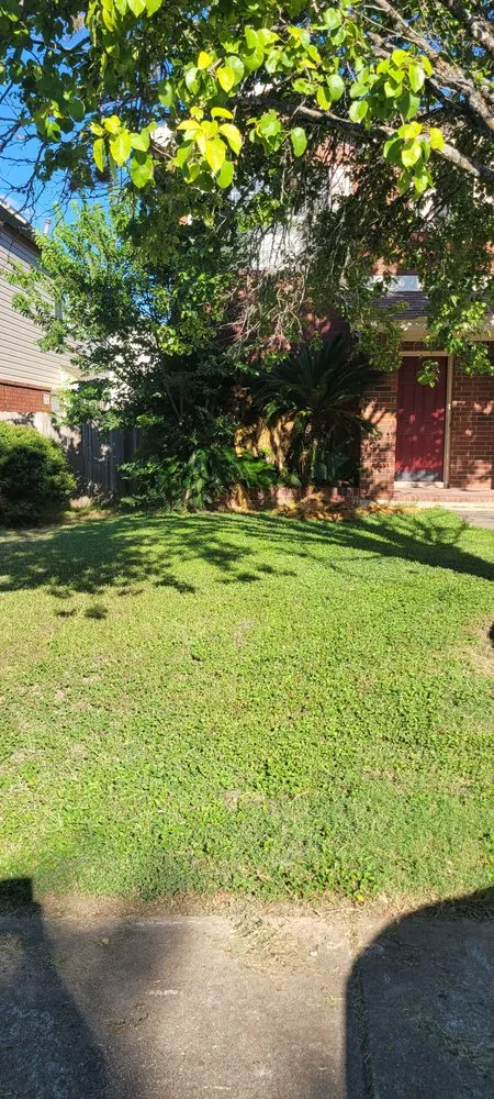 Affordable landscape installation experts serving San Antonio, TX - JMZ Pressure Washing