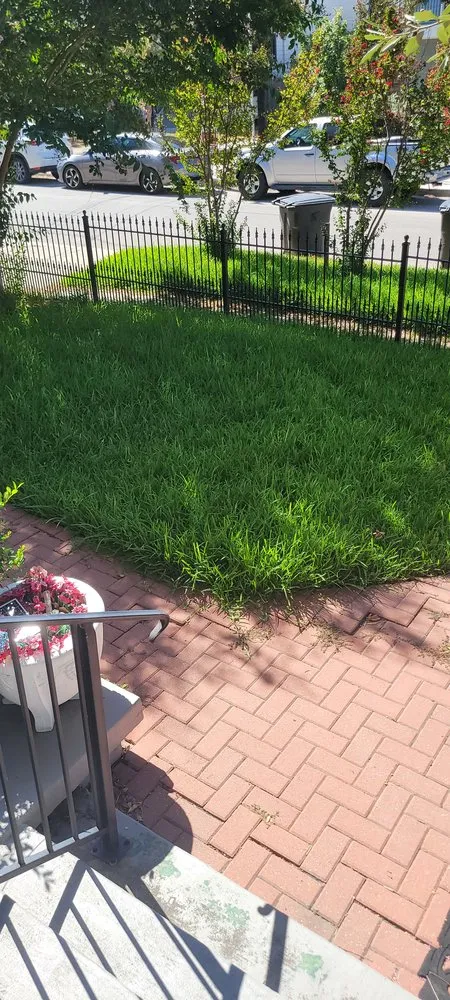 Expert outdoor landscaping experts serving San Antonio, TX - JMZ Pressure Washing