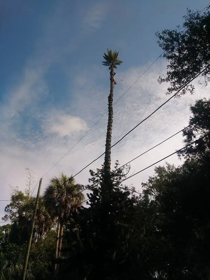 Trusted lawn mowing service for outdoor upgrades in Woodbridge, VA by J&N Home And Garden Solutions