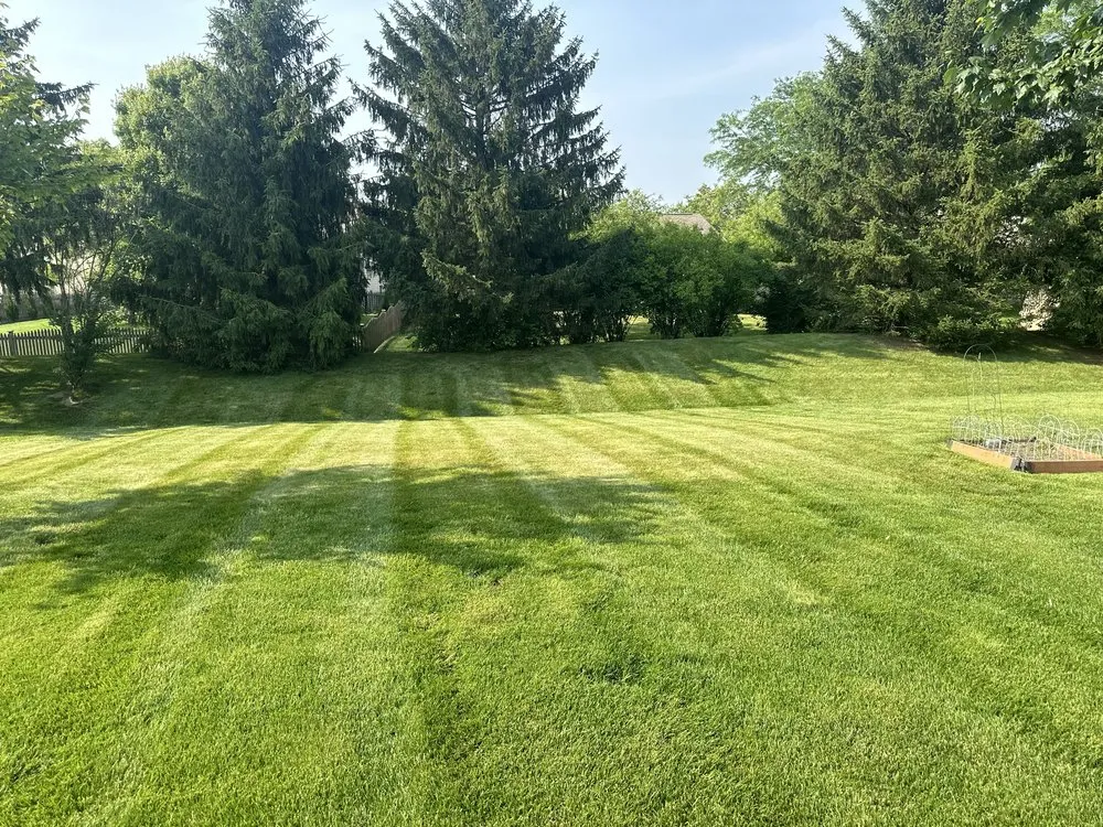 Professional landscape design in Indianapolis, IN - J&N