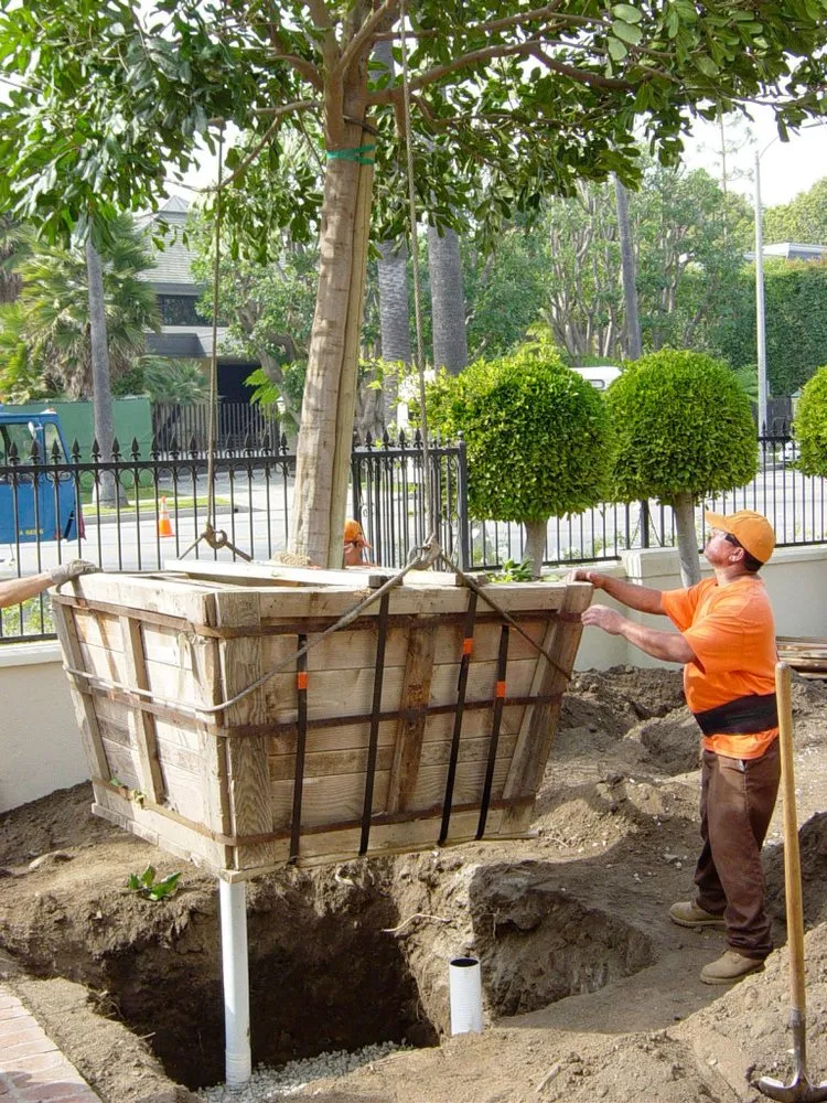 Reliable yard maintenance in Inglewood, CA - JN Land Maintenance