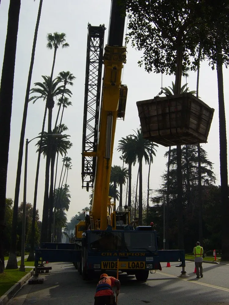 Affordable lawn care service in Inglewood, CA - JN Land Maintenance