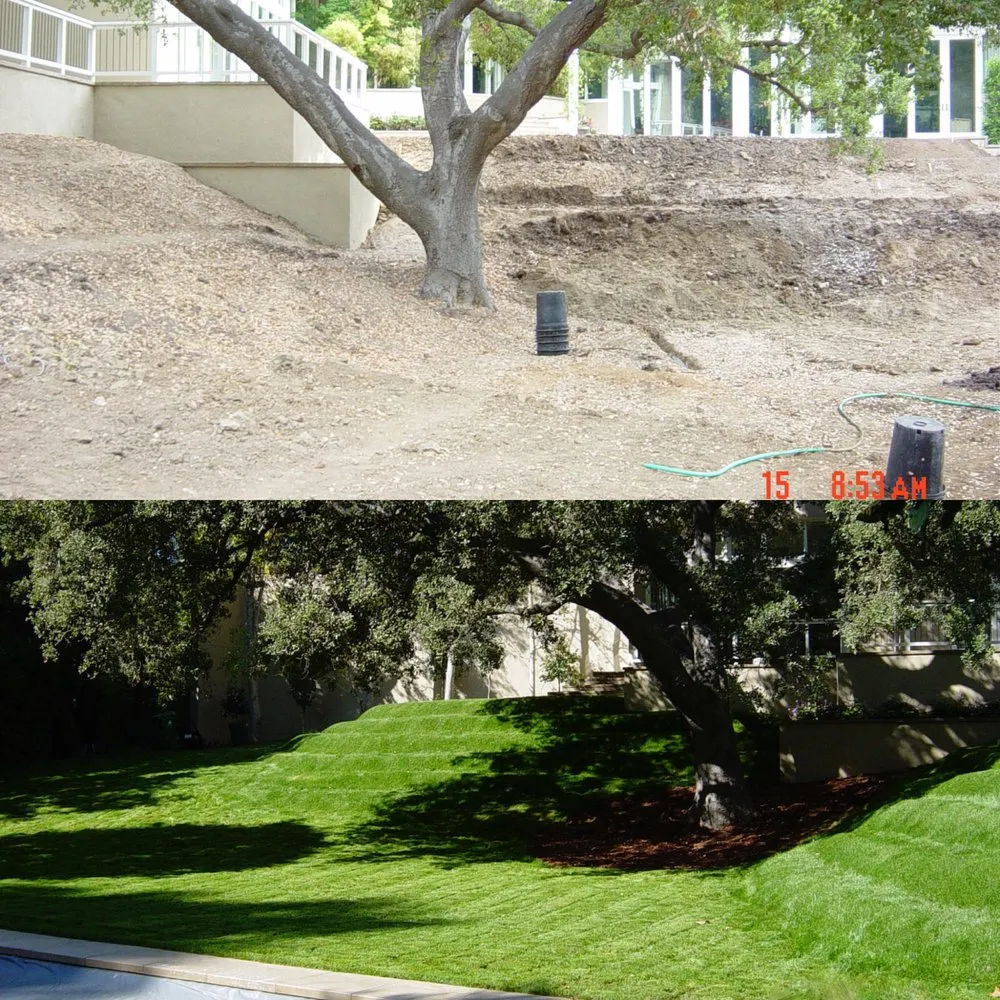Custom lawn mowing service with custom design across Inglewood, CA - JN Land Maintenance