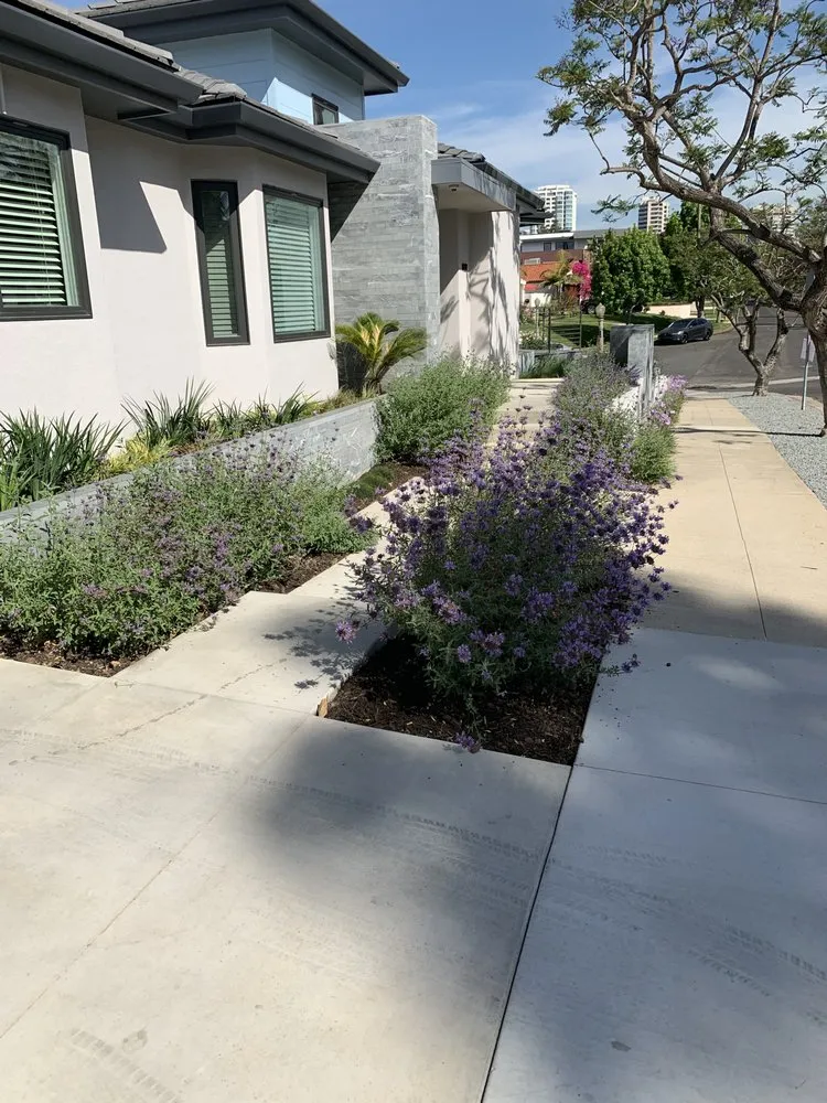 Affordable lawn mowing service in Inglewood, CA - JN Land Maintenance