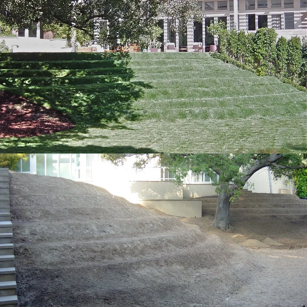 Expert yard maintenance in Inglewood, CA by JN Land Maintenance
