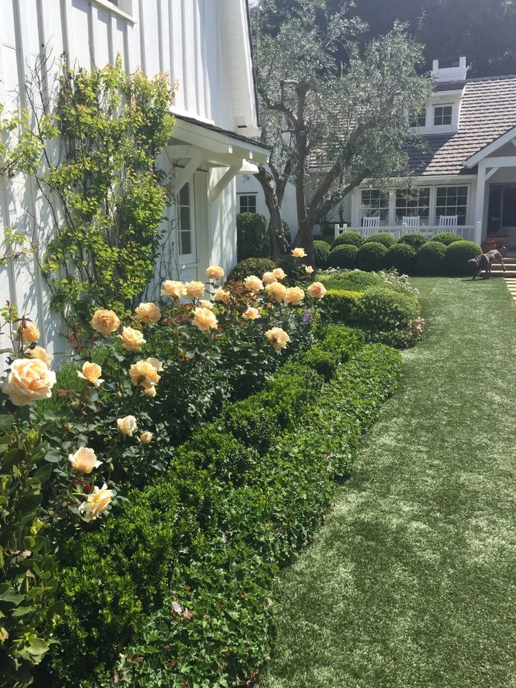 Professional lawn mowing service for beautiful yards in Inglewood, CA by JN Land Maintenance