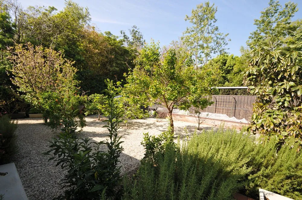 Local garden landscaping experts serving Inglewood, CA - JN Land Maintenance