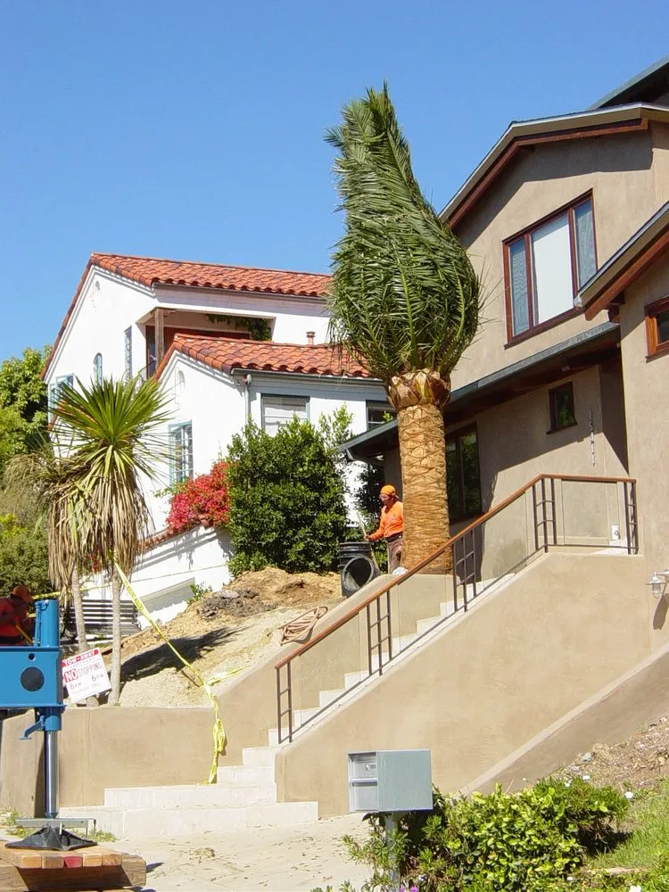 Expert yard cleanup service experts serving Inglewood, CA - JN Land Maintenance