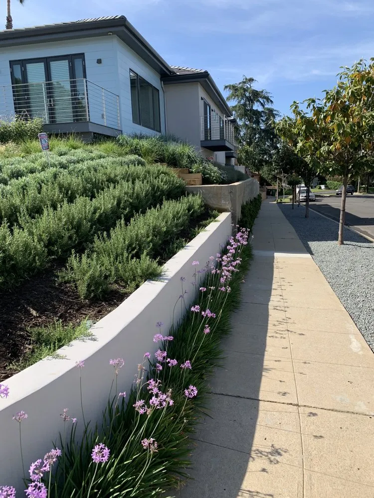 Local yard cleanup service with custom design across Inglewood, CA - JN Land Maintenance