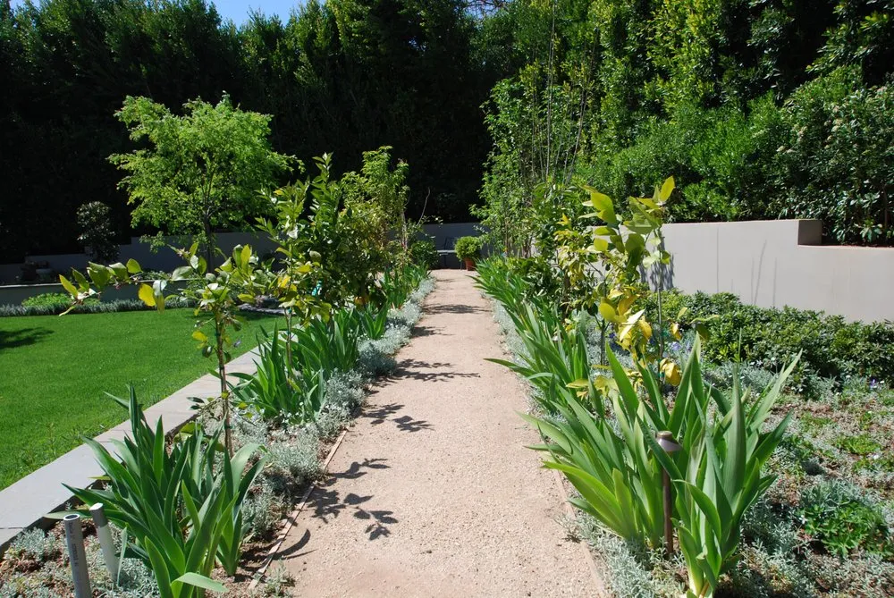 Trusted landscape design near you across Inglewood, CA - JN Land Maintenance