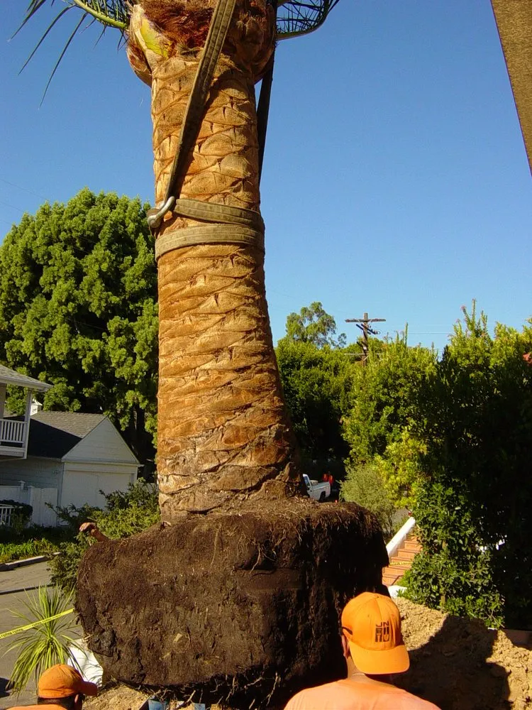 Top-rated outdoor landscaping with custom design across Inglewood, CA - JN Land Maintenance