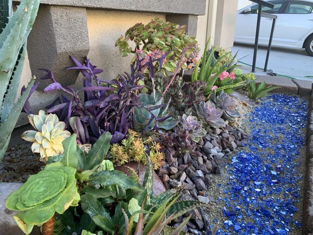 Local yard cleanup service in Chula Vista, CA - JN Landscape Services