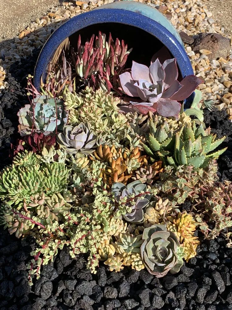 Trusted landscaping services experts serving Chula Vista, CA - JN Landscape Services