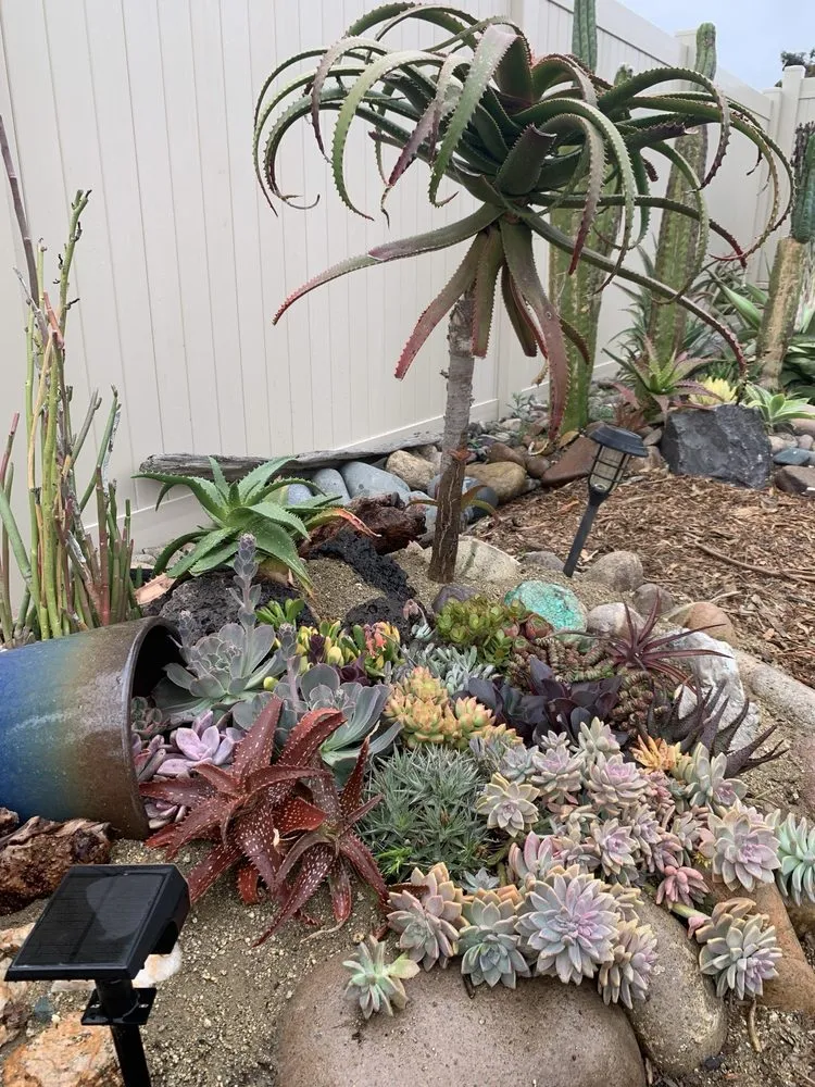 Local lawn mowing service in Chula Vista, CA by JN Landscape Services