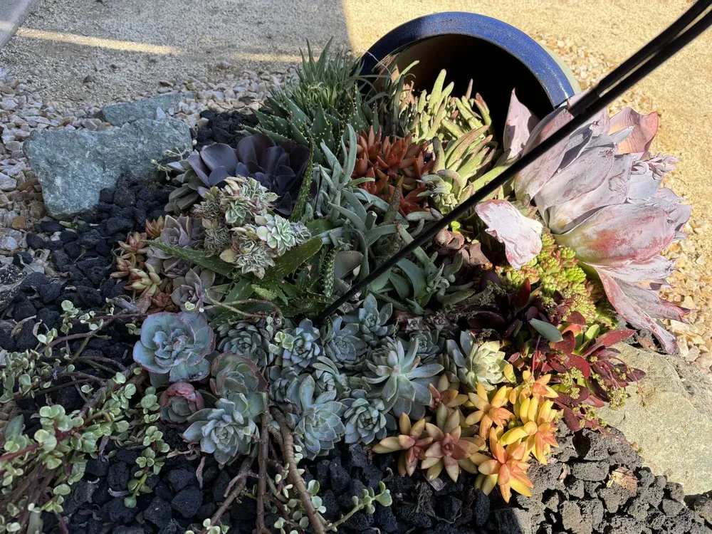 Top-rated outdoor landscaping for beautiful yards in Chula Vista, CA by JN Landscape Services