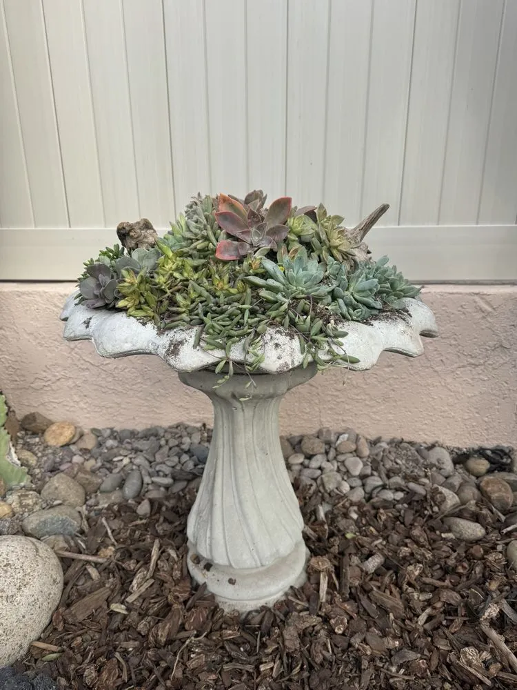 Custom landscape installation experts serving Chula Vista, CA - JN Landscape Services