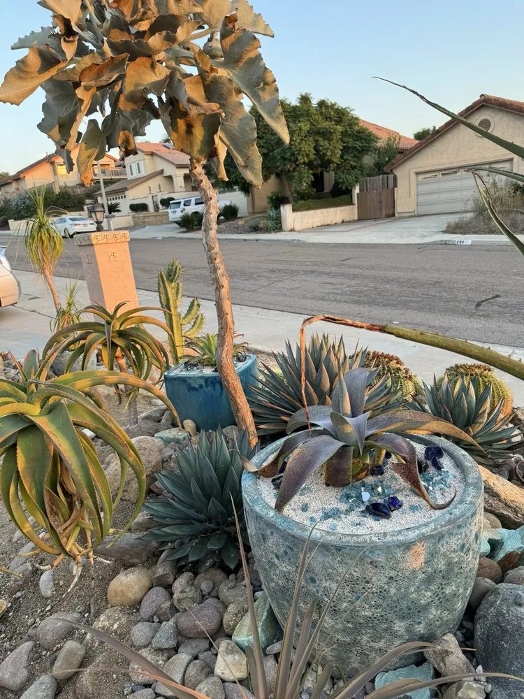 Professional landscape installation in Chula Vista, CA - JN Landscape Services