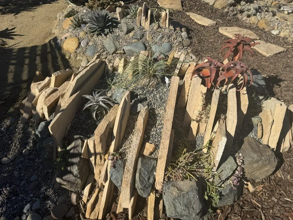 Reliable yard cleanup service in Chula Vista, CA - JN Landscape Services