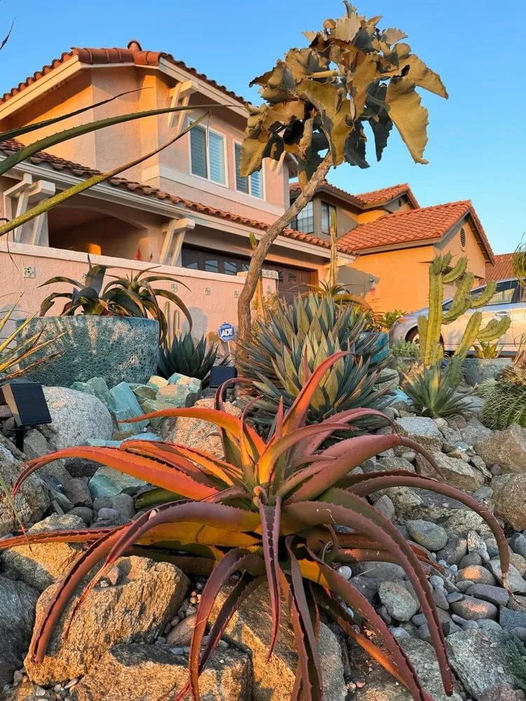 Professional outdoor landscaping for residential properties across Chula Vista, CA - JN Landscape Services