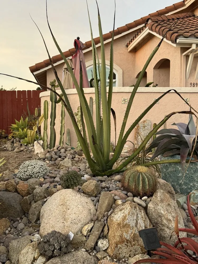 Custom garden landscaping in Chula Vista, CA by JN Landscape Services