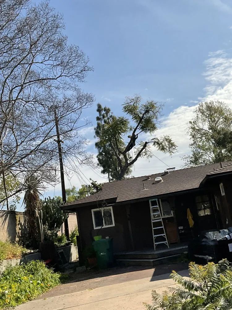 Local yard cleanup service for outdoor upgrades in Fontana, CA by JN Landscaping & Tree Service
