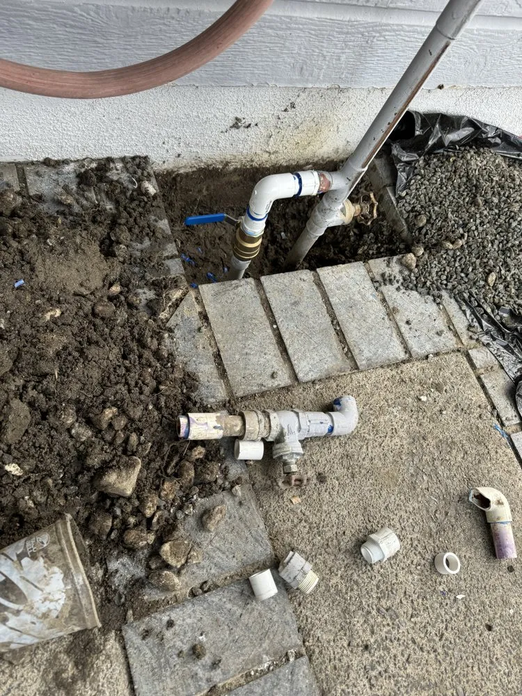 Top-rated yard cleanup service in Fontana, CA - JN Landscaping & Tree Service