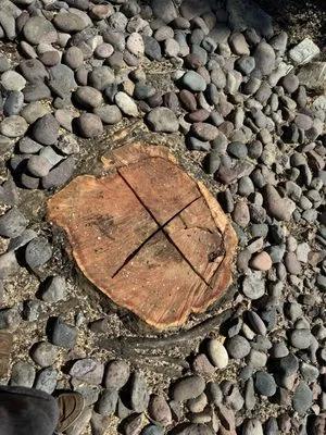 JN Landscaping & Tree Service Logo