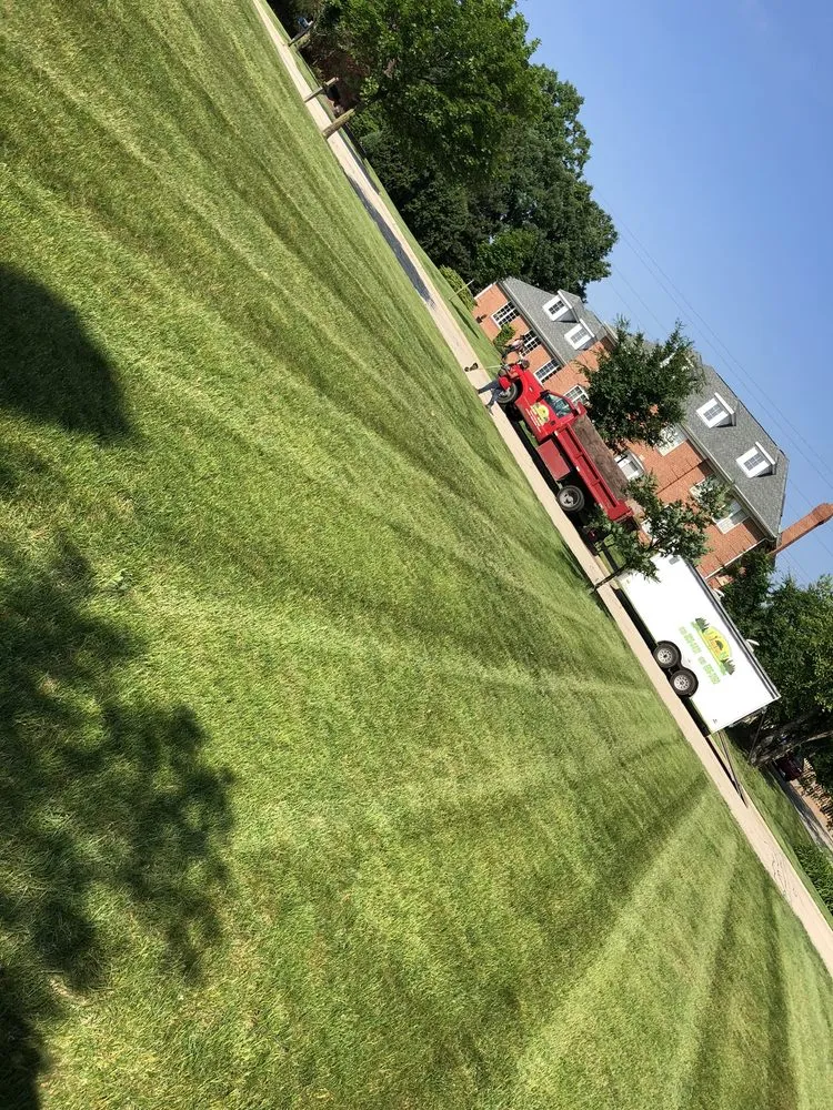 Reliable yard cleanup service for outdoor upgrades across Lemont, IL - JN Landscaping & Tree services