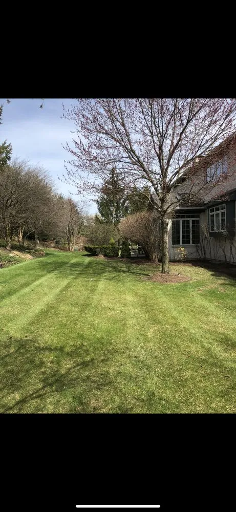 Top-rated lawn care service experts serving Lemont, IL - JN Landscaping & Tree services