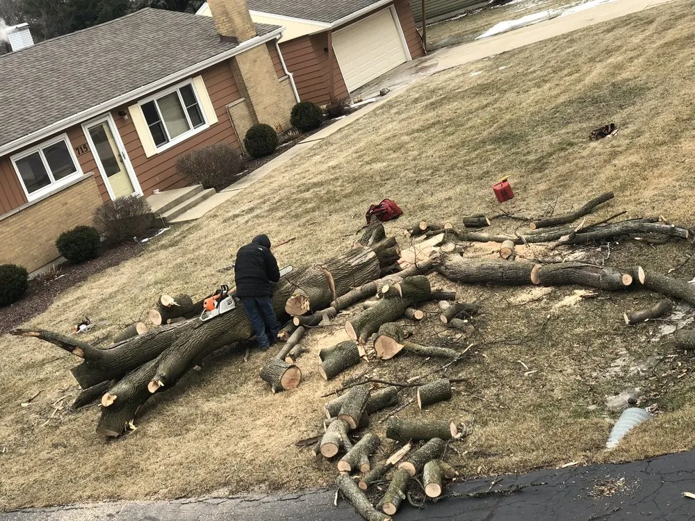 Reliable residential landscaping in Lemont, IL by JN Landscaping & Tree services