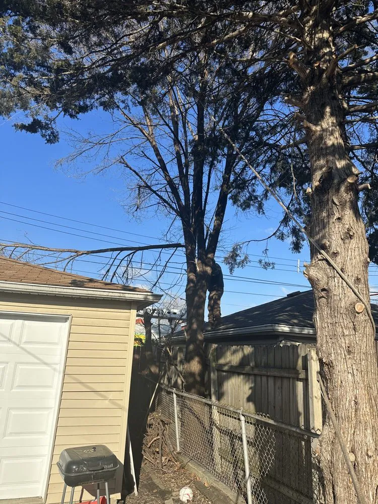 Expert residential landscaping experts serving Lemont, IL - JN Landscaping & Tree services