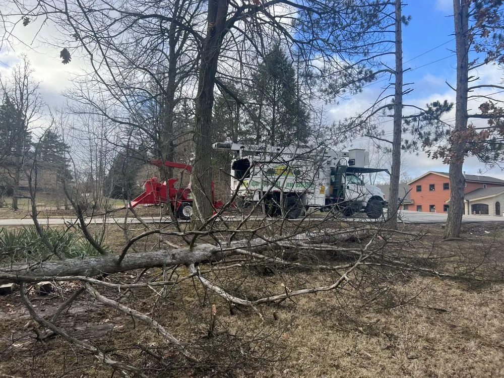 Trusted lawn mowing service experts serving Lemont, IL - JN Landscaping & Tree services