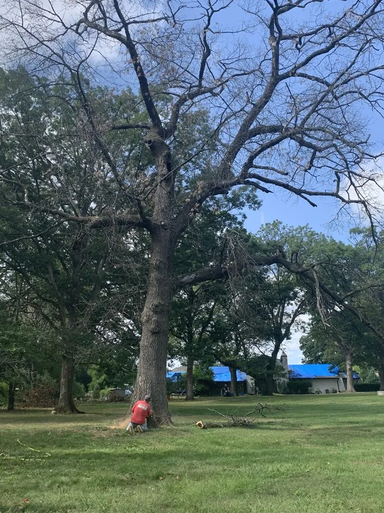 Affordable residential landscaping for year-round maintenance across Lemont, IL - JN Landscaping & Tree services