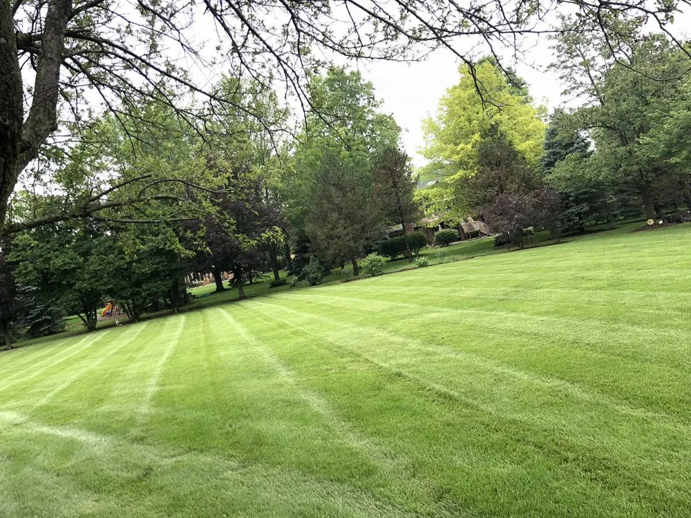 Expert outdoor landscaping in Lemont, IL - JN Landscaping & Tree services