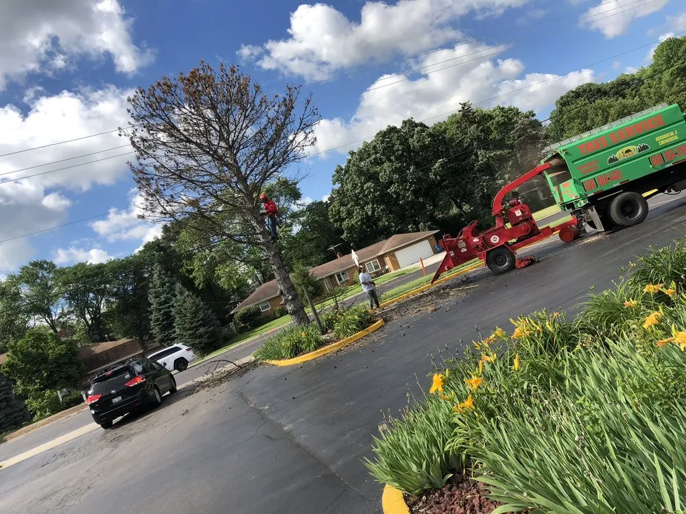 Top-rated yard maintenance experts serving Lemont, IL - JN Landscaping & Tree services
