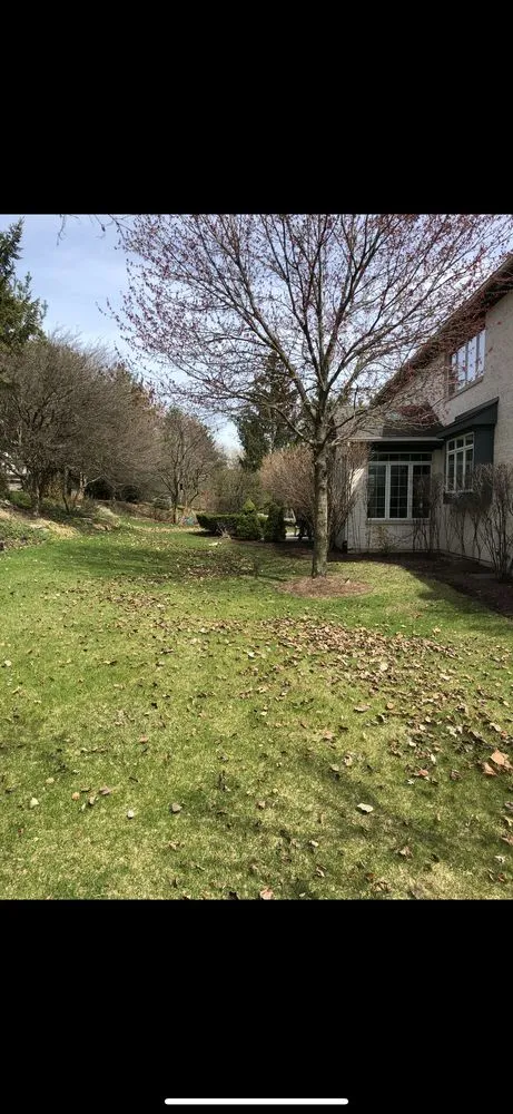 Affordable yard maintenance experts serving Lemont, IL - JN Landscaping & Tree services
