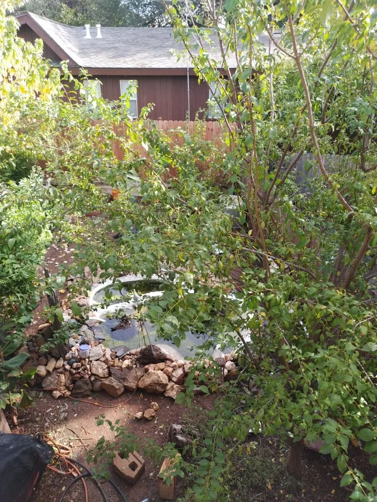 Trusted landscape installation for beautiful yards across Auburn, CA - Jn landscaping