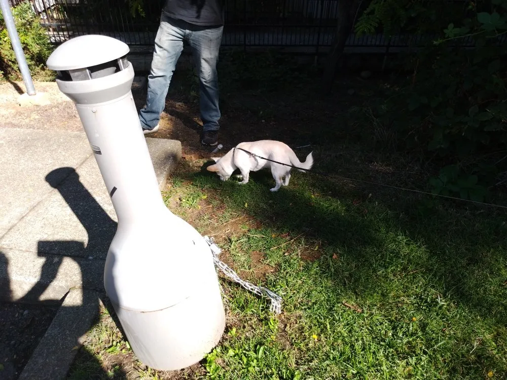 Reliable yard maintenance in Auburn, CA by Jn landscaping