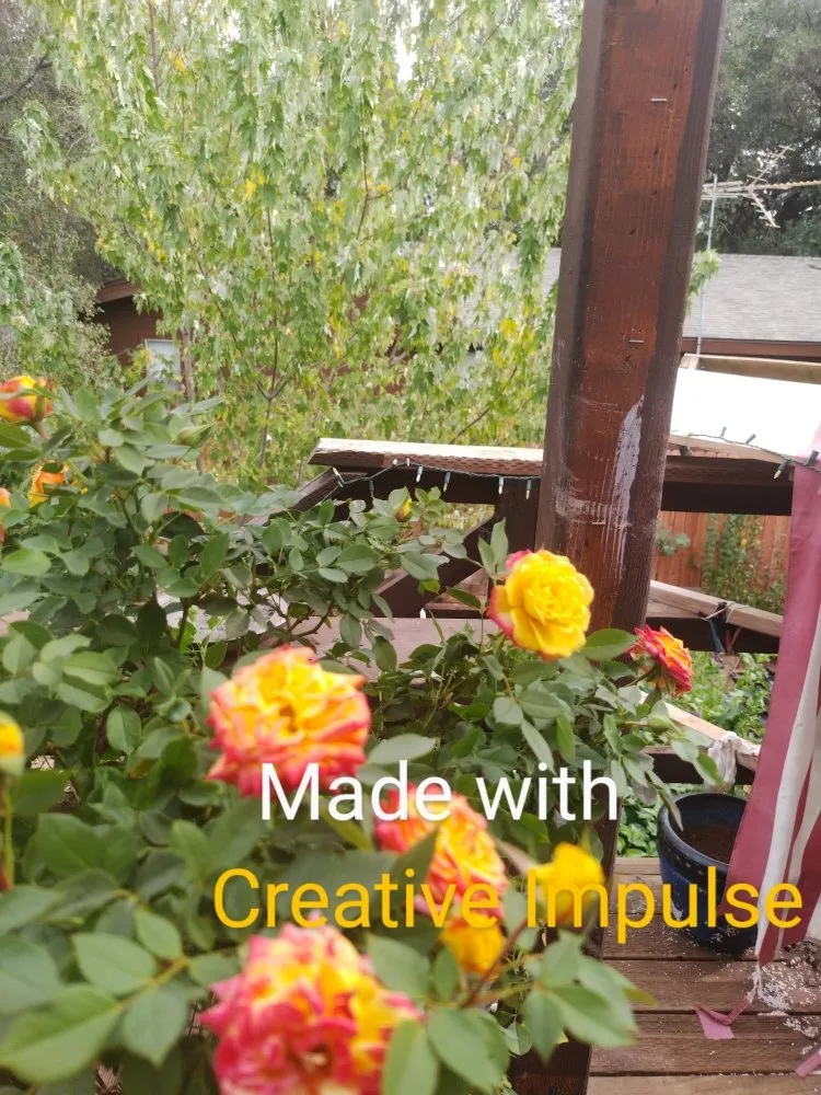 Trusted lawn mowing service experts serving Auburn, CA - Jn landscaping