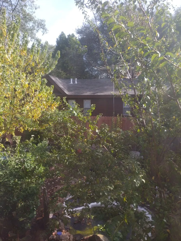 Top-rated yard cleanup service experts serving Auburn, CA - Jn landscaping