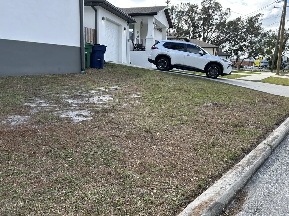 Affordable landscape design in Tampa, FL - J&N Landscaping Elite Services