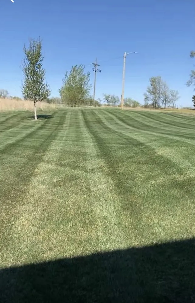 Top-rated yard cleanup service for residential properties in Mohawk, WV by J&N landscaping