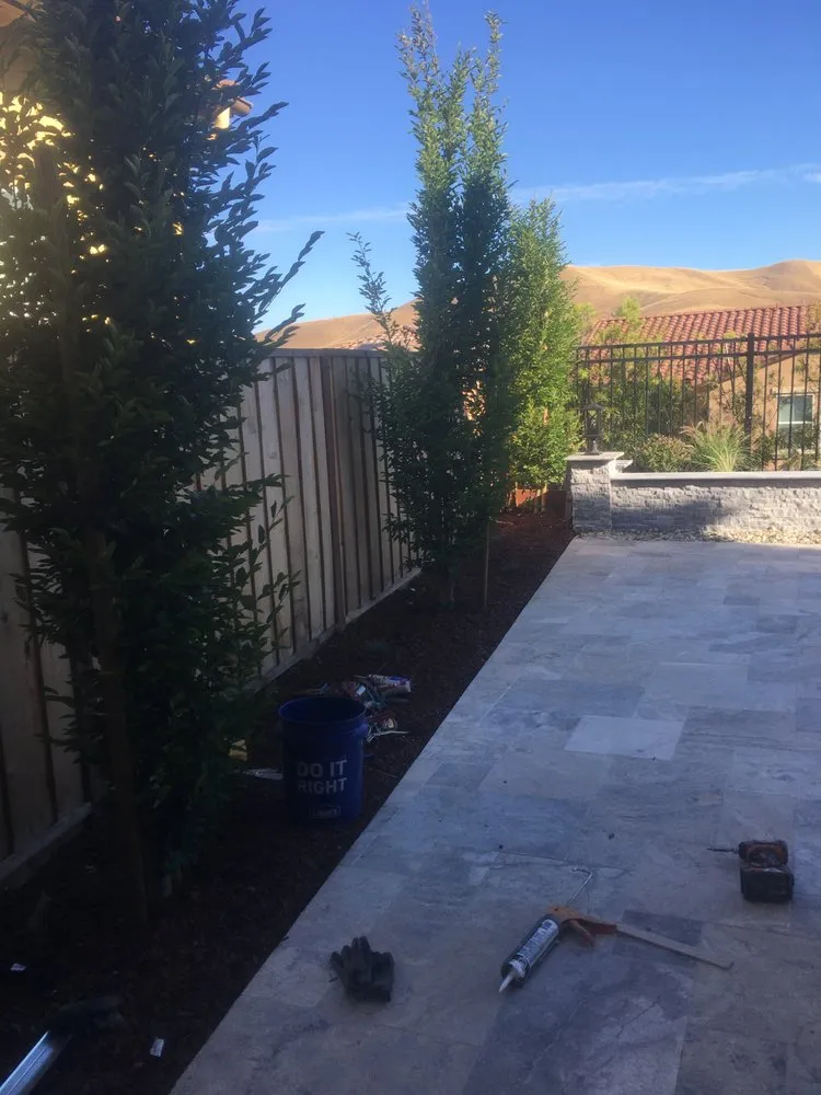 Professional yard maintenance experts serving Newark, CA - J&N Landscaping