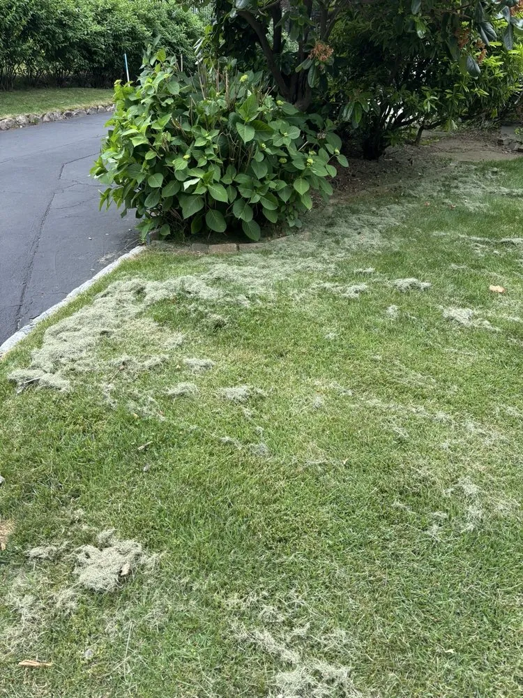 Custom garden landscaping near you in Boston, MA by J&N Landscaping Solutions