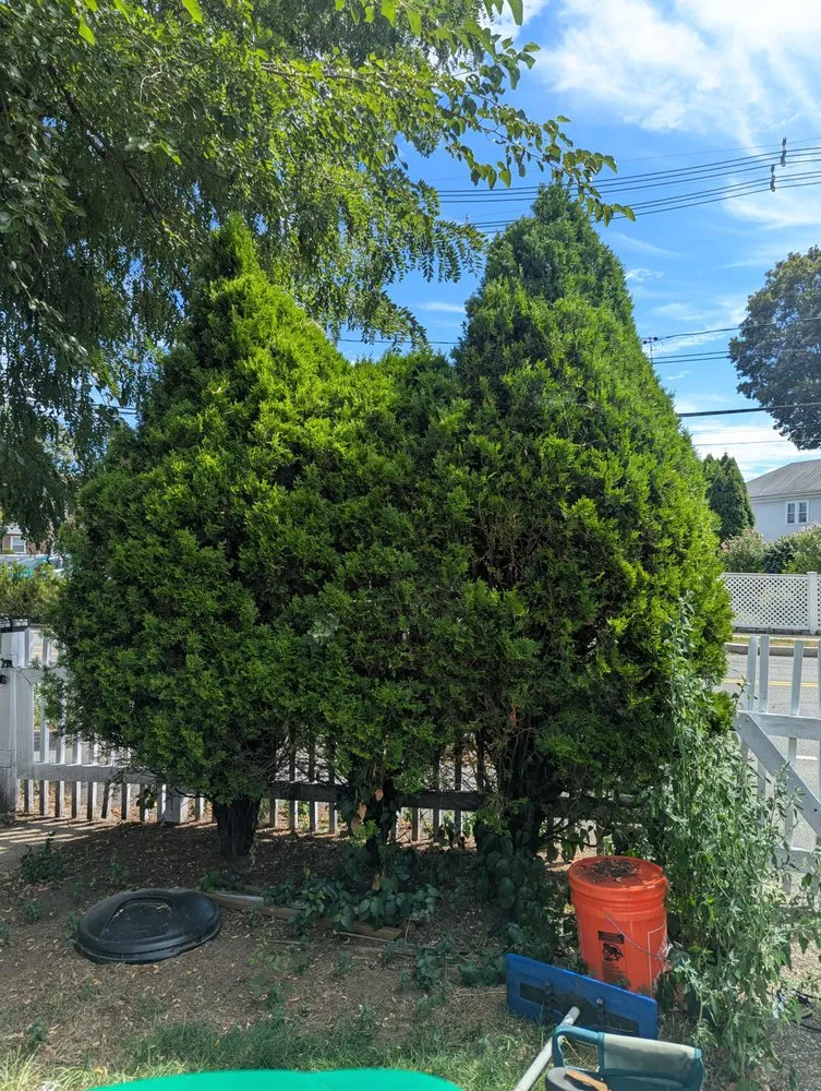 Custom landscape installation experts serving Boston, MA - J&N Landscaping Solutions