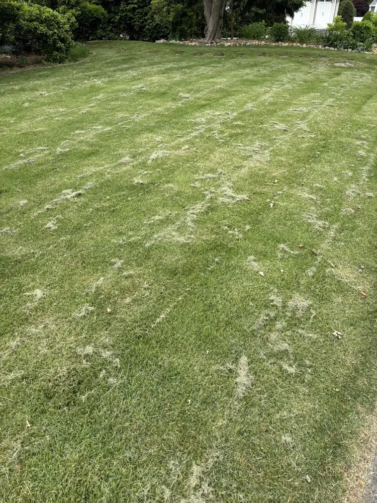 Professional garden landscaping experts serving Boston, MA - J&N Landscaping Solutions