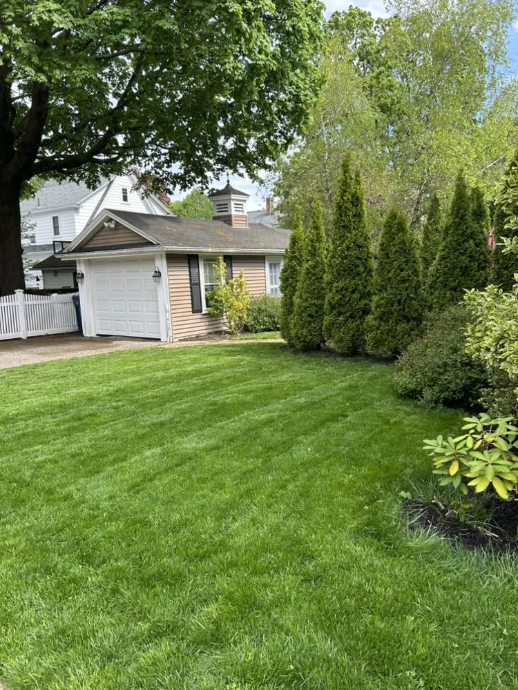 Top-rated yard cleanup service for outdoor upgrades across Boston, MA - J&N Landscaping Solutions