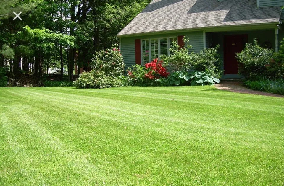 Affordable lawn mowing service for outdoor upgrades in Penns Grove, NJ by J&N Lawn Care and Disposal