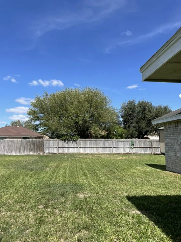 Professional outdoor landscaping for year-round maintenance in Weslaco, TX by JN Lawn Service