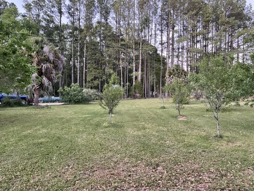 Top-rated landscape design for beautiful yards in Andalusia, AL by JN Lawncare